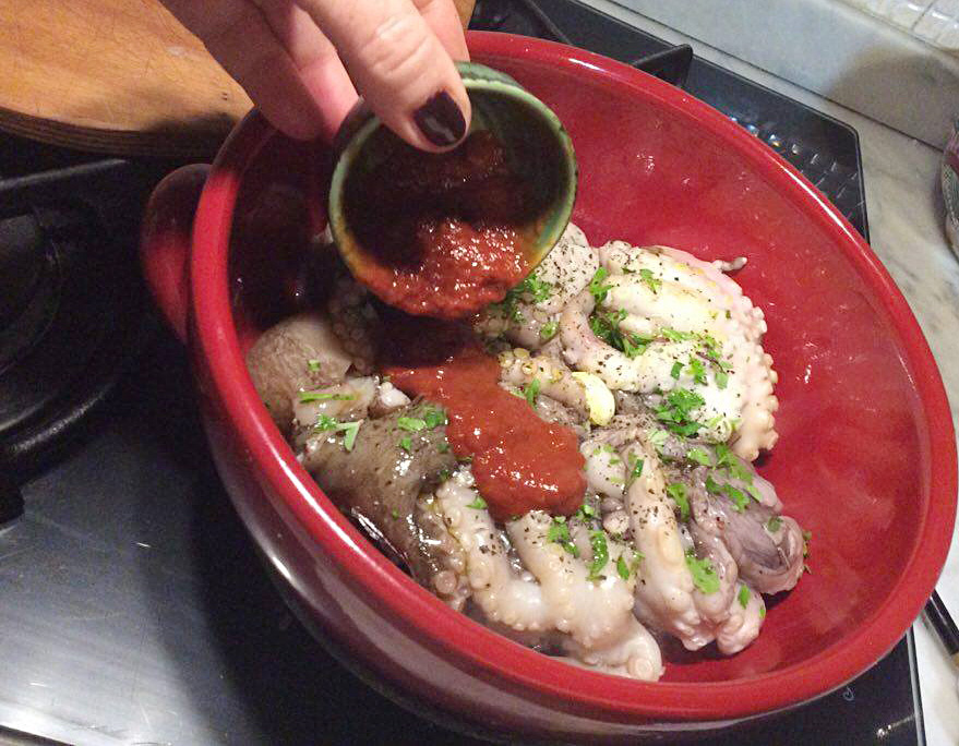 12910052_1712870722303663_938736434_n