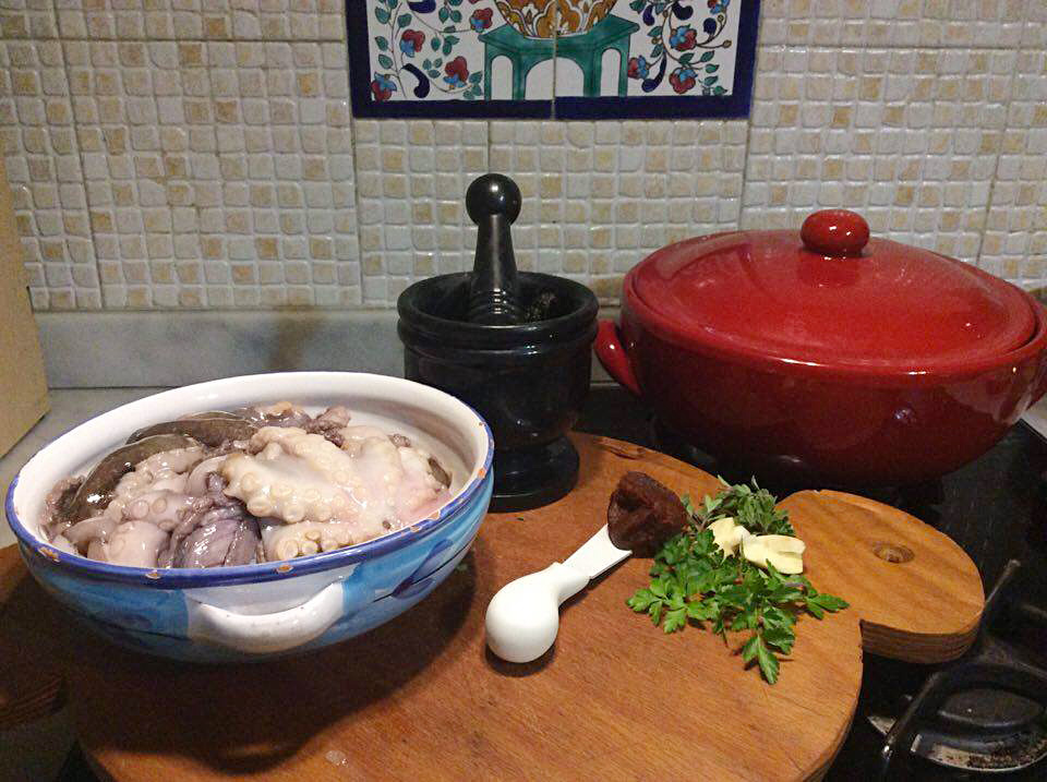 12939220_1712870462303689_781807586_n