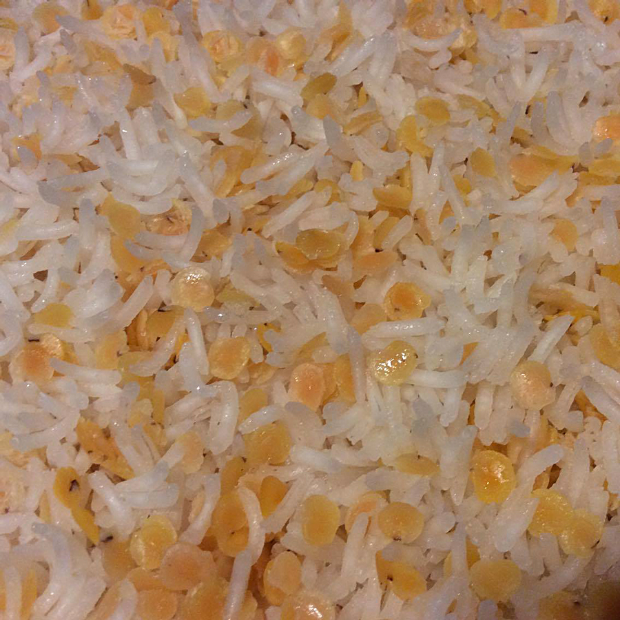 13210934_1732011640389571_1110337947_o