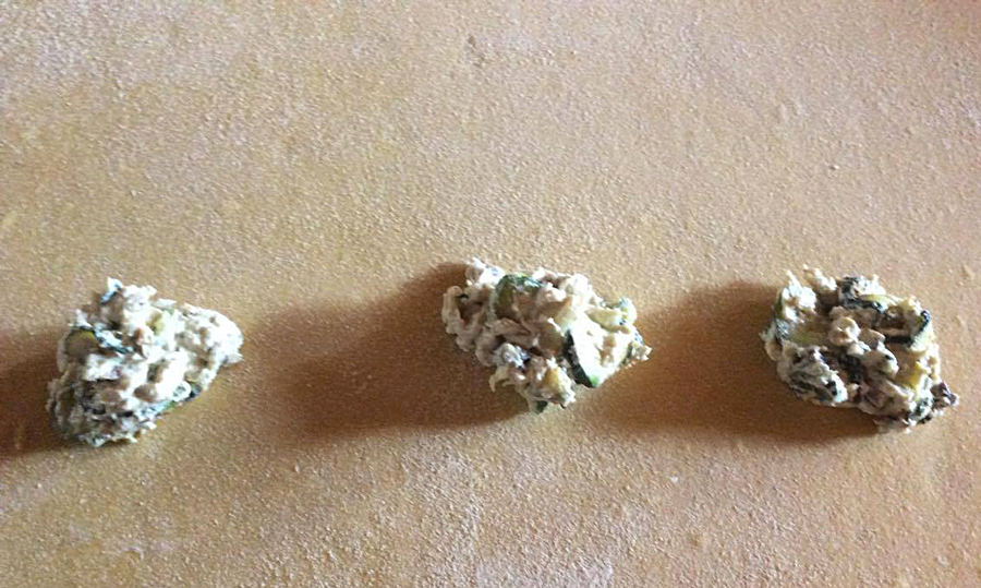 13234999_1731377243786344_1855393537_o