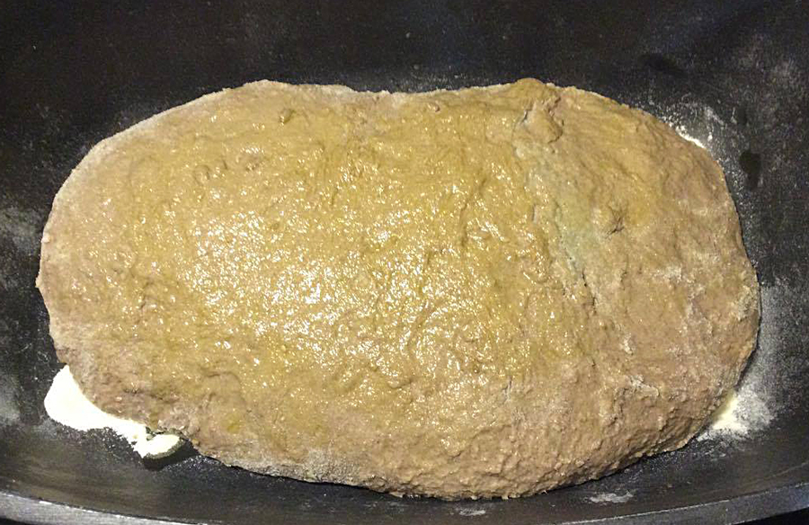 13262566_1735375583386510_1785154128_o