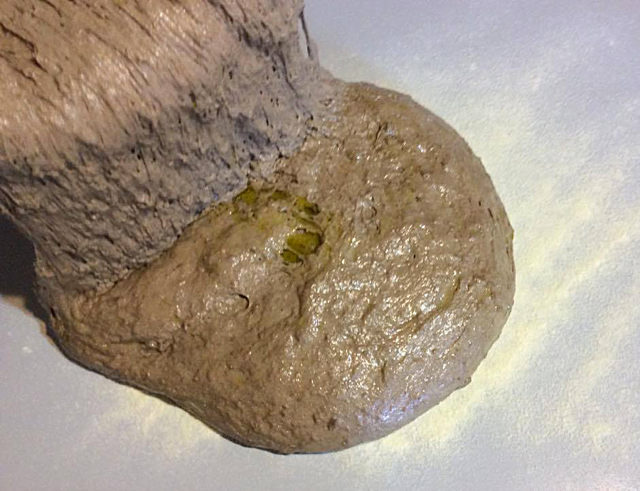 13271540_1735375603386508_1742911421_o