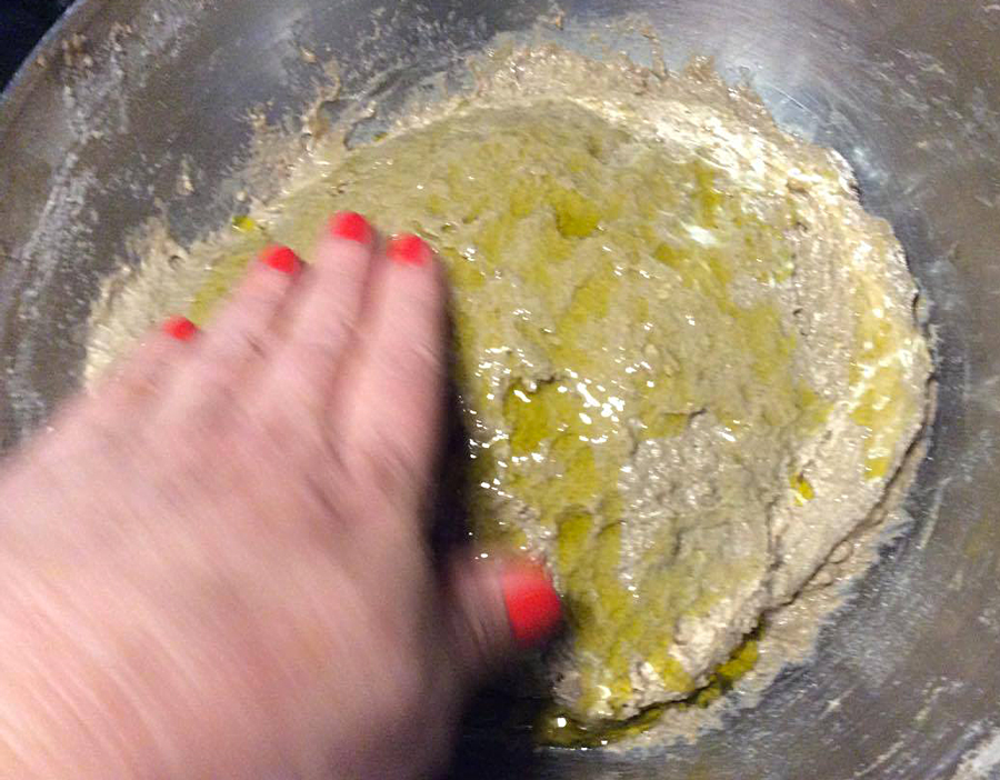 13274965_1735376230053112_1635950393_o