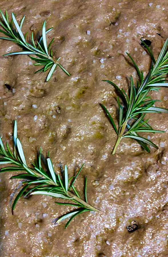 13275333_1735375353386533_1299262407_o