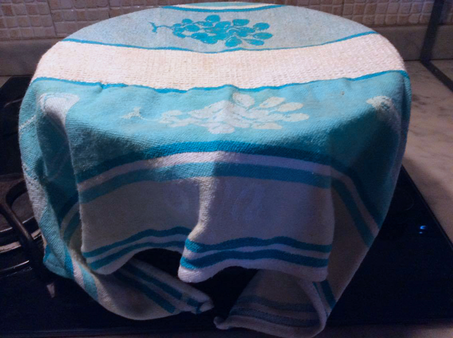 13288326_1735376176719784_1365715960_o