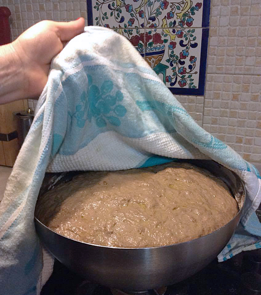 13288593_1735375740053161_1401913897_o