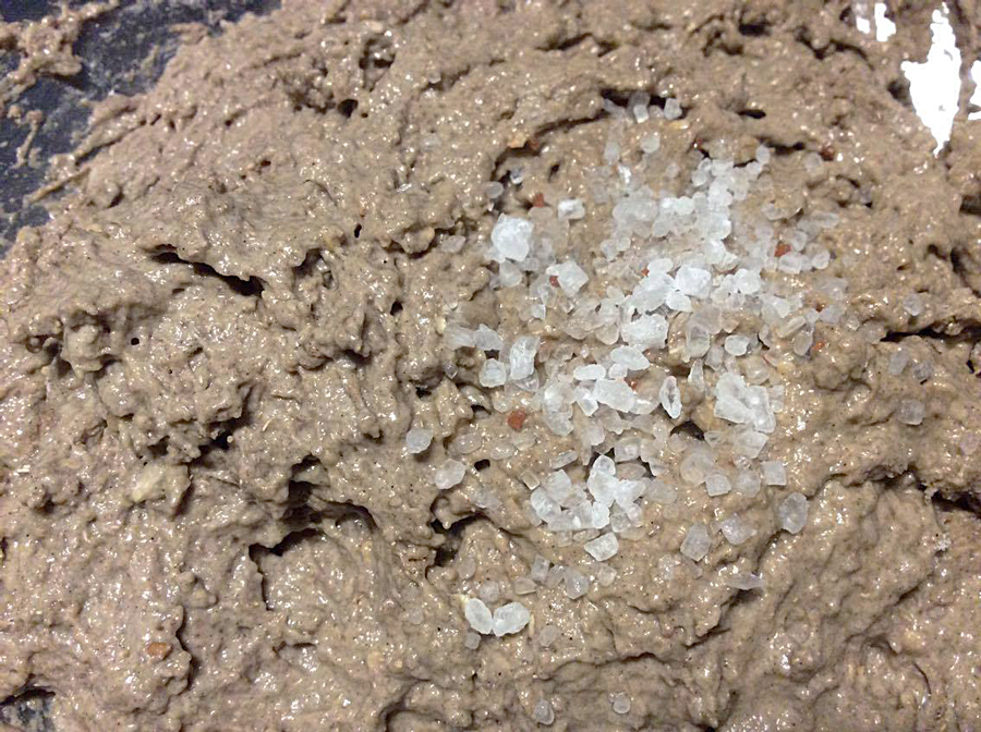 13288735_1735376336719768_2047546826_o