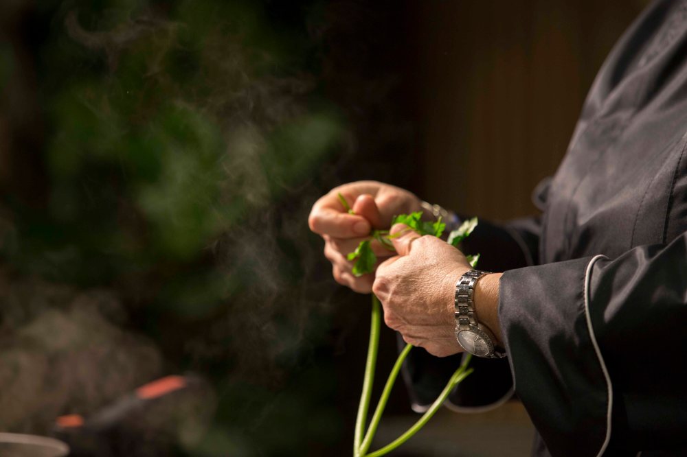 _sofia-masini_coopbassa_11