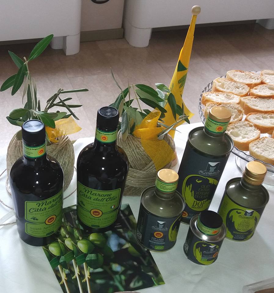 19554733_1403904836367813_8654491876635746821_n